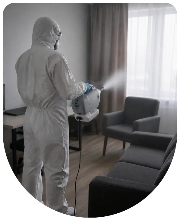 Обеззараживание помещений в Балахне профессионально и безопасно
